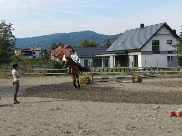 Babie Lato 2016